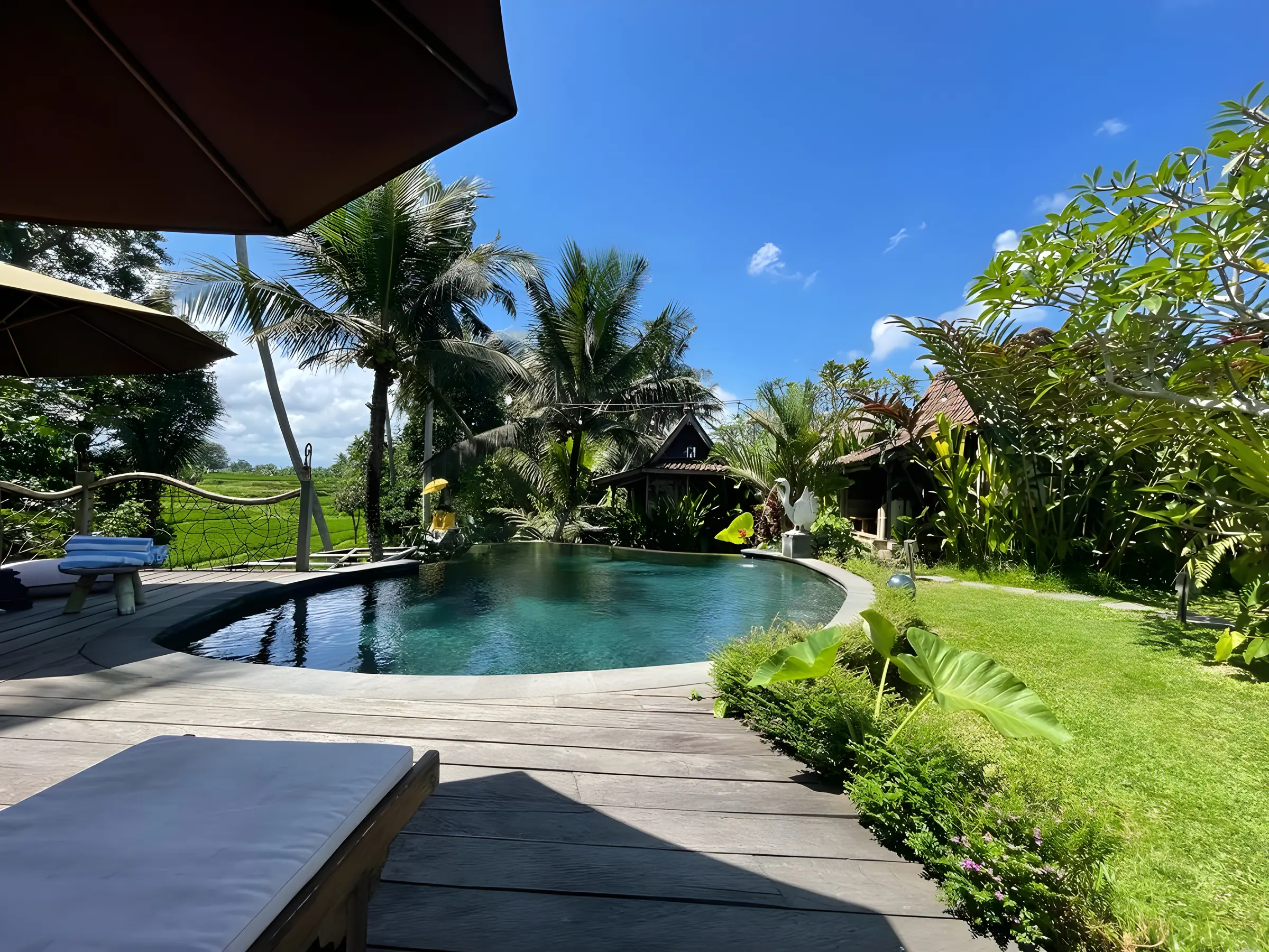 The pool at Swarma Villas, surrounded by jungle planting